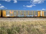 TTGX 820344